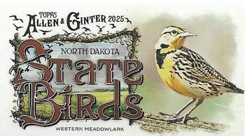 Western Meadowlark