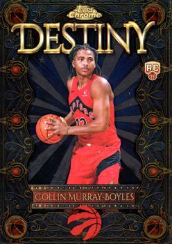 Collin Murray-Boyles