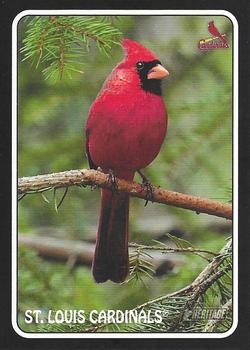 St. Louis Cardinals