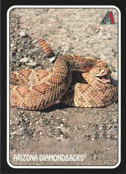Arizona Diamondbacks