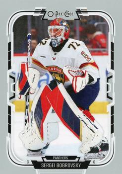 Sergei Bobrovsky