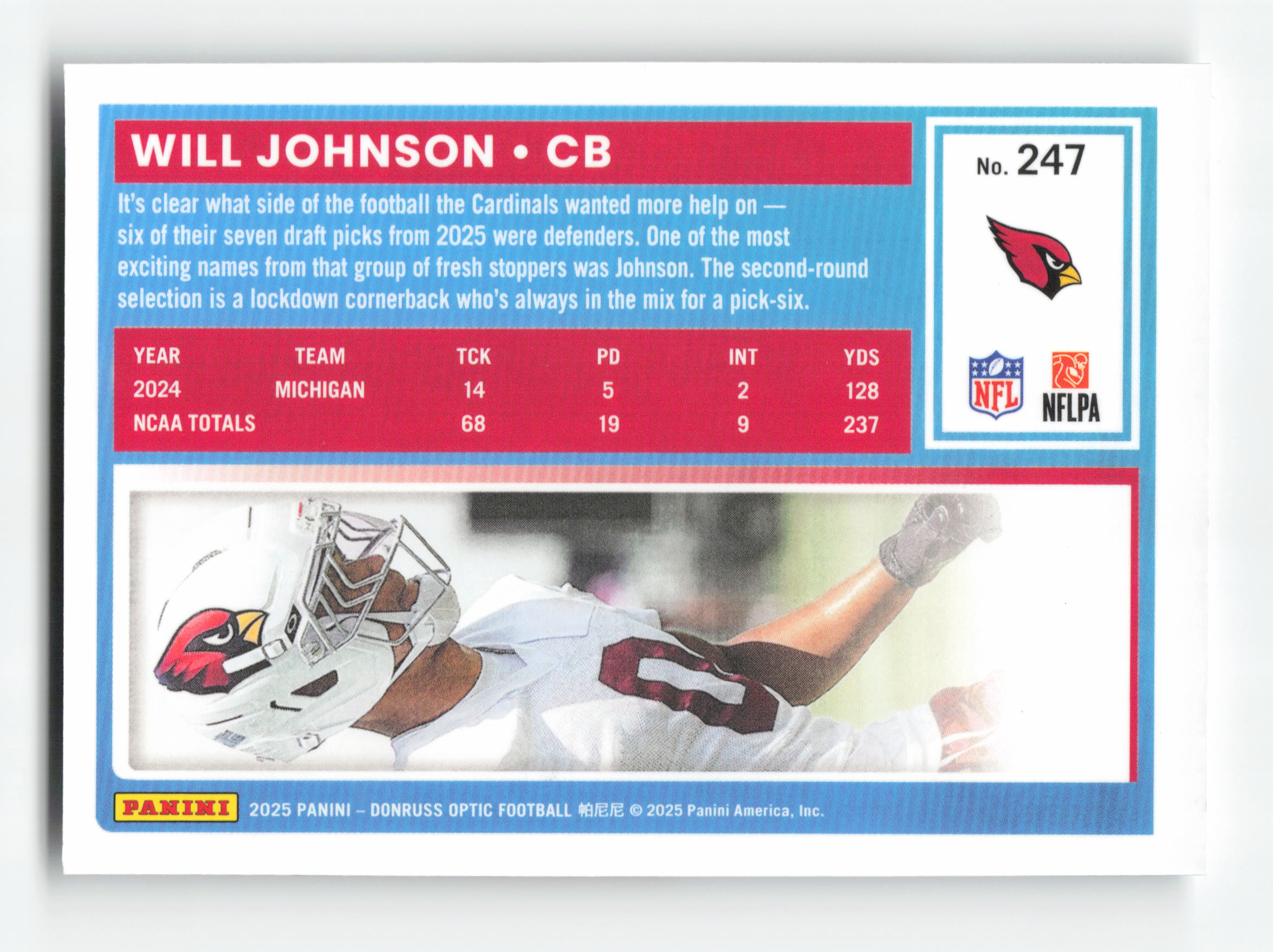 Card back