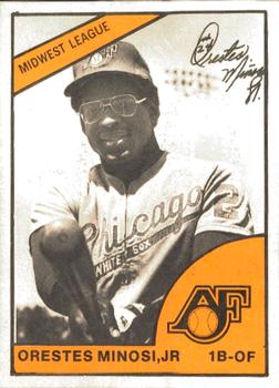 Orestes Minoso Jr.
