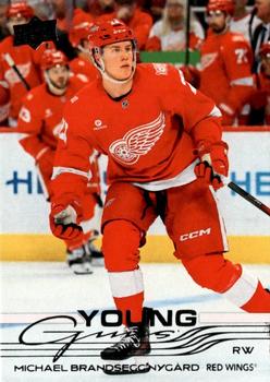 Michael Brandsegg-Nygard