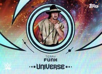 Terry Funk