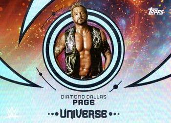Diamond Dallas Page