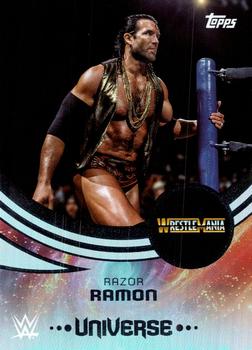 Razor Ramon