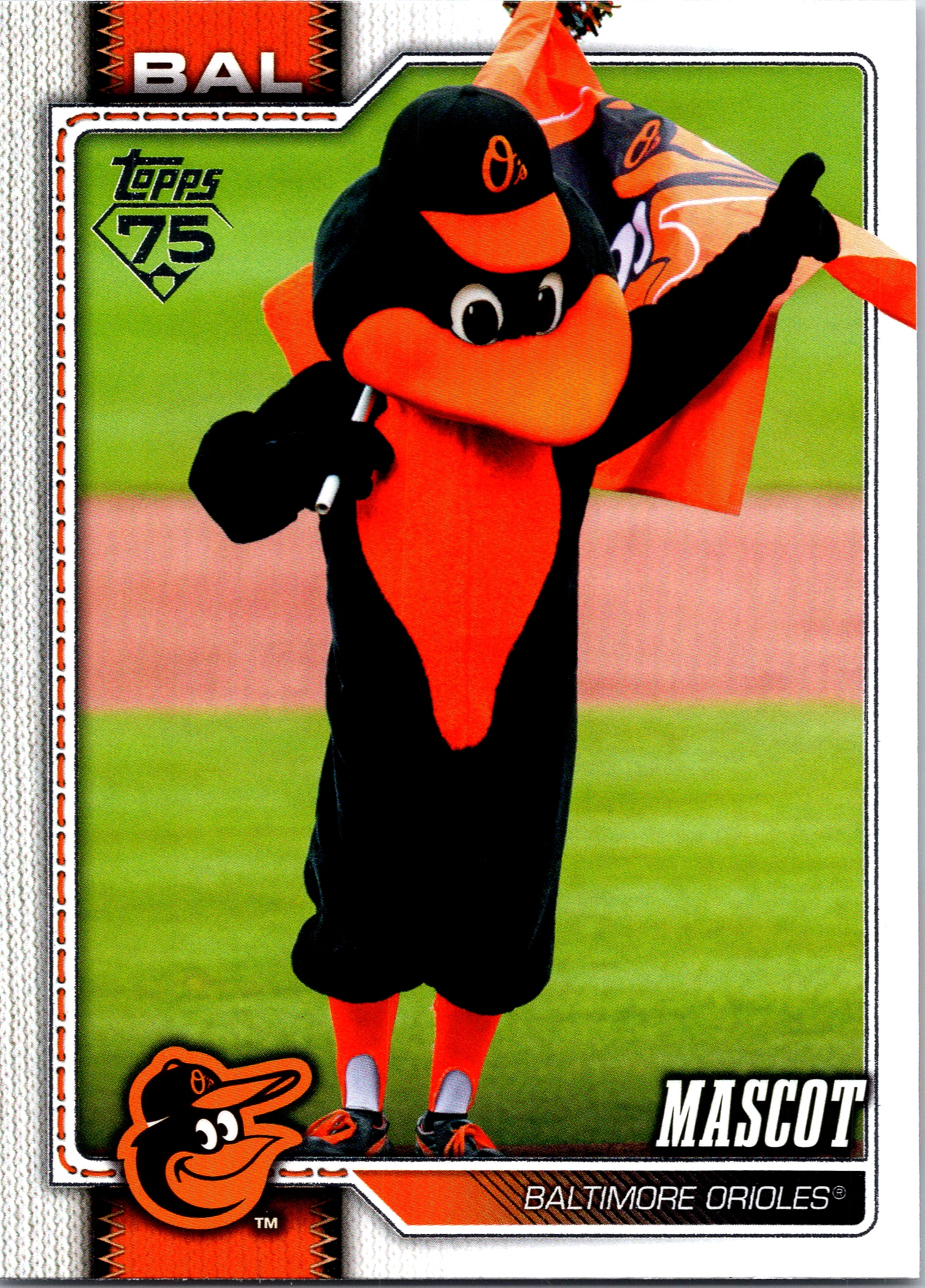 Oriole Bird