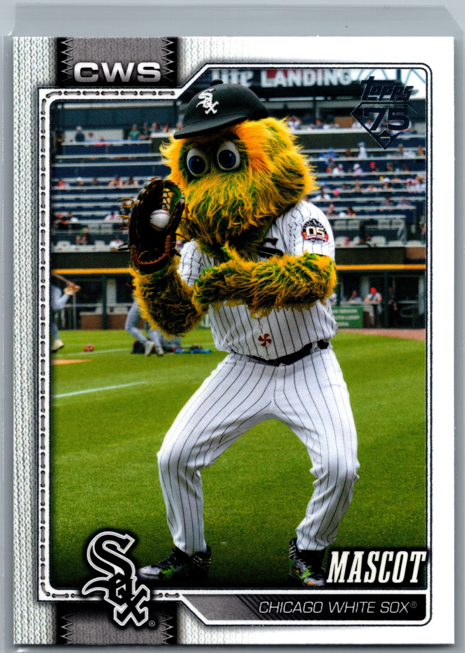 Southpaw