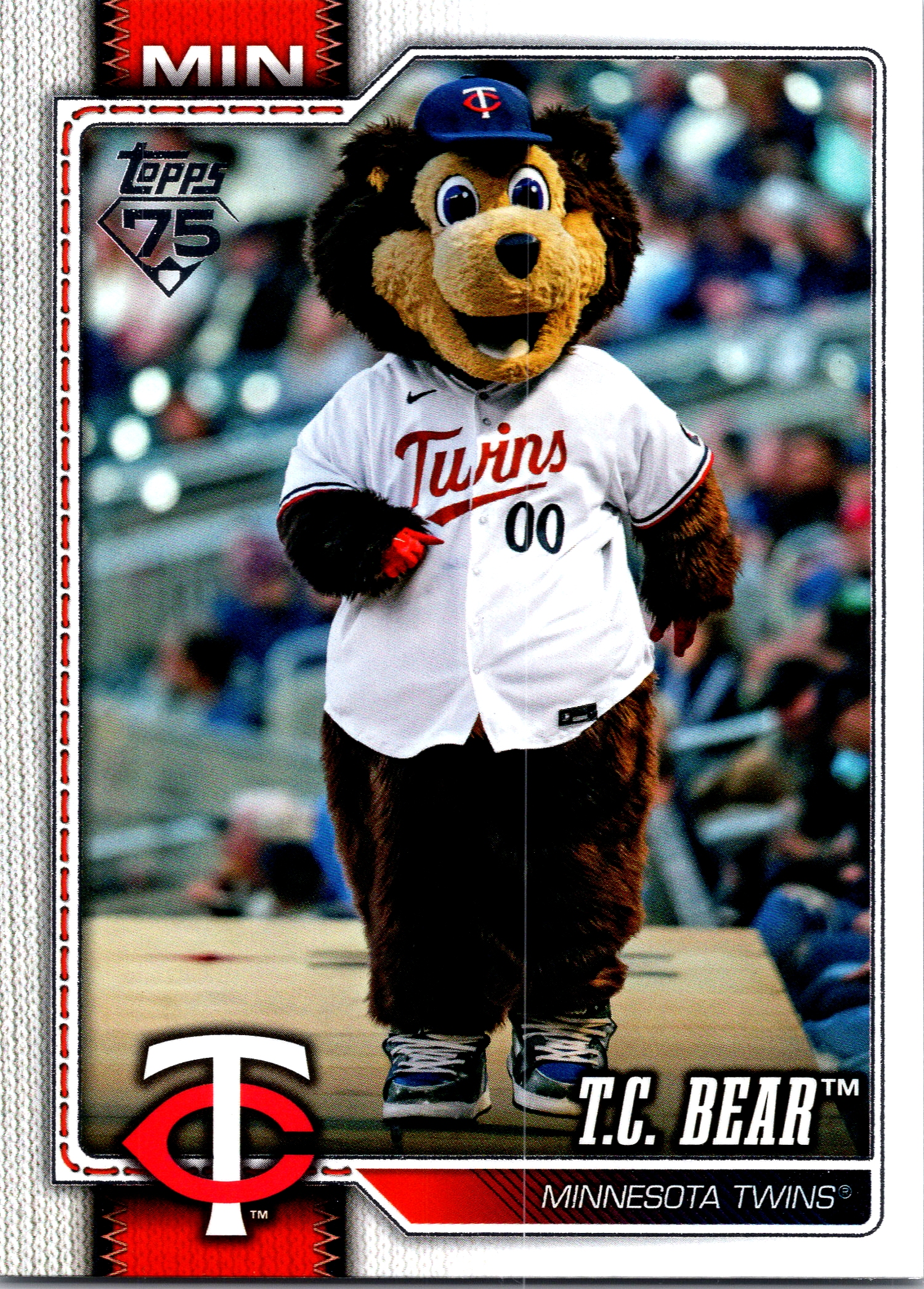 T.C. Bear