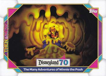 The Many Adventures of Winnie the Pooh