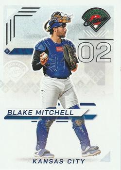 Blake Mitchell