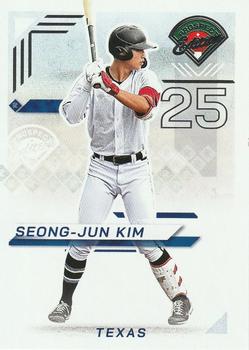 Seong-Jun Kim