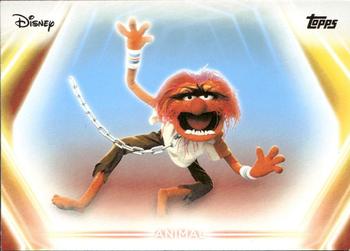Animal