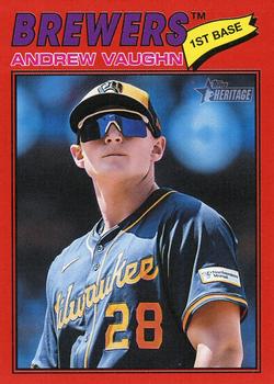 Andrew Vaughn