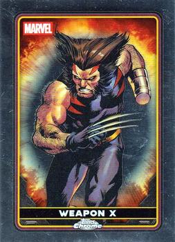 Weapon X