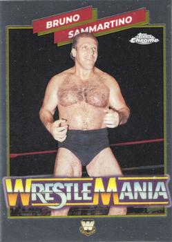 Bruno Sammartino