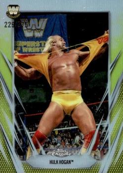 Hulk Hogan