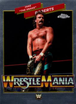 Jake "The Snake" Roberts