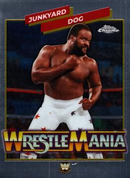 Junkyard Dog