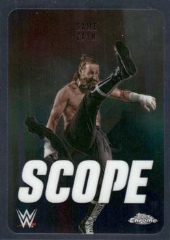 Sami Zayn