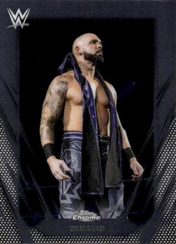 Shawn Spears