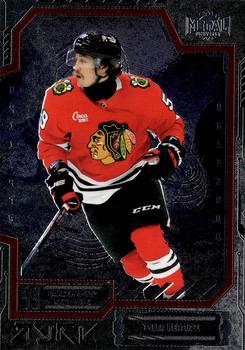 Tyler Bertuzzi