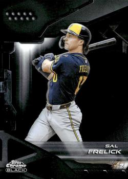Sal Frelick