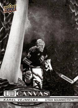 Karel Vejmelka