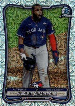 Vladimir Guerrero Jr.