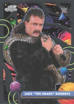 Jake "The Snake" Roberts