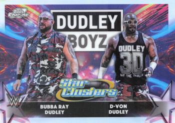 D-Von Dudley / Bubba Ray Dudley