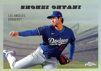 Shohei Ohtani