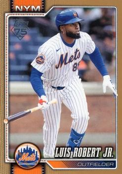 Luis Robert Jr.