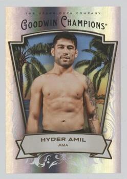 Hyder Amil