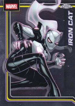 Iron Cat
