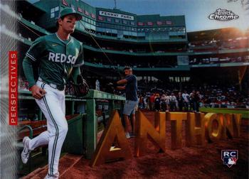 Roman Anthony