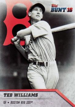 Ted Williams