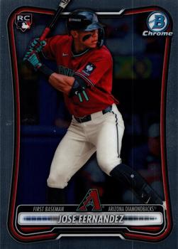 Jose Fernandez