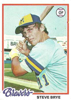 Steve Brye