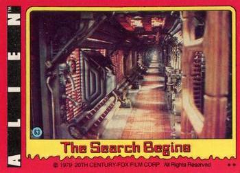 The Search Begins