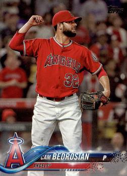 Cam Bedrosian