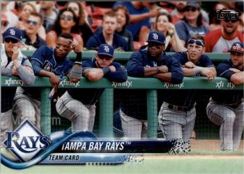 Tampa Bay Rays