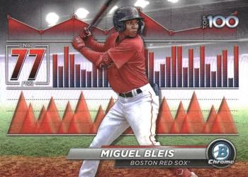 Miguel Bleis