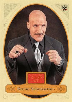 Bruno Sammartino