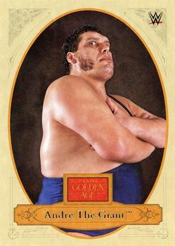Andre the Giant