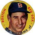 Ted Williams