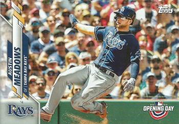 Austin Meadows