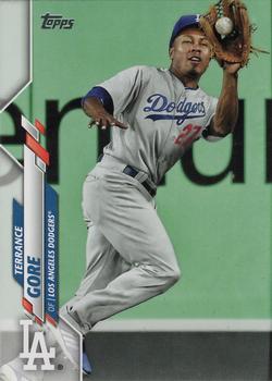 Terrance Gore