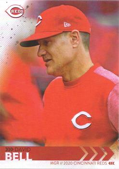 David Bell